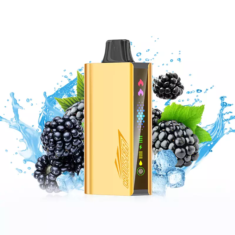 JNR Cruiser 12000 Puffs - Blackberry Ice disposable vape Australia