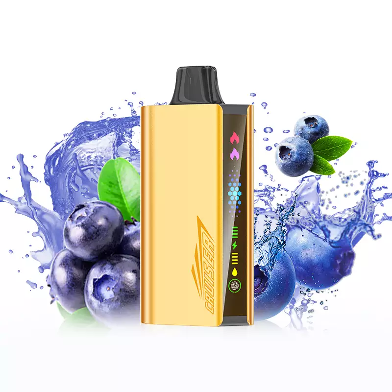 JNR Cruiser 12000 Puffs - Blueberry Blast disposable vape Australia