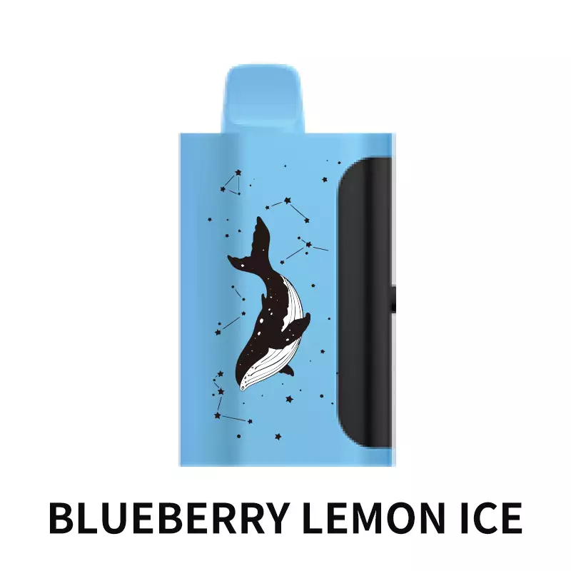 PICCO STAR 40000 Puffs - Blueberry Lemon Ice disposable vape Australia