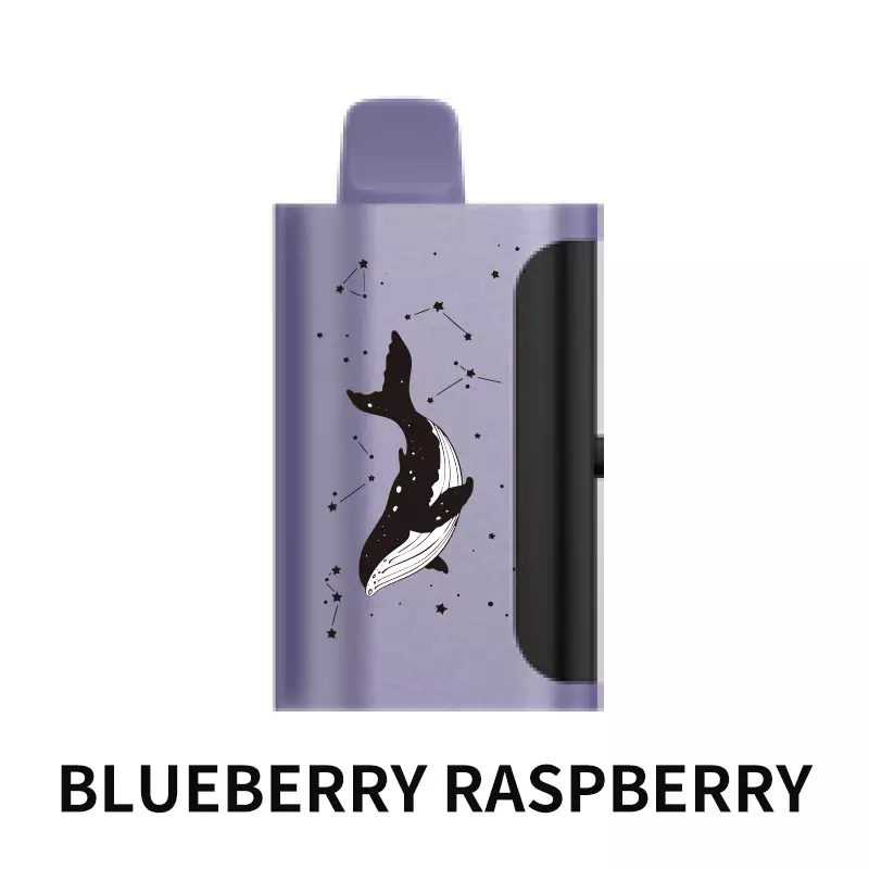 PICCO STAR 40000 Puffs - Blueberry Raspberry disposable vape Australia