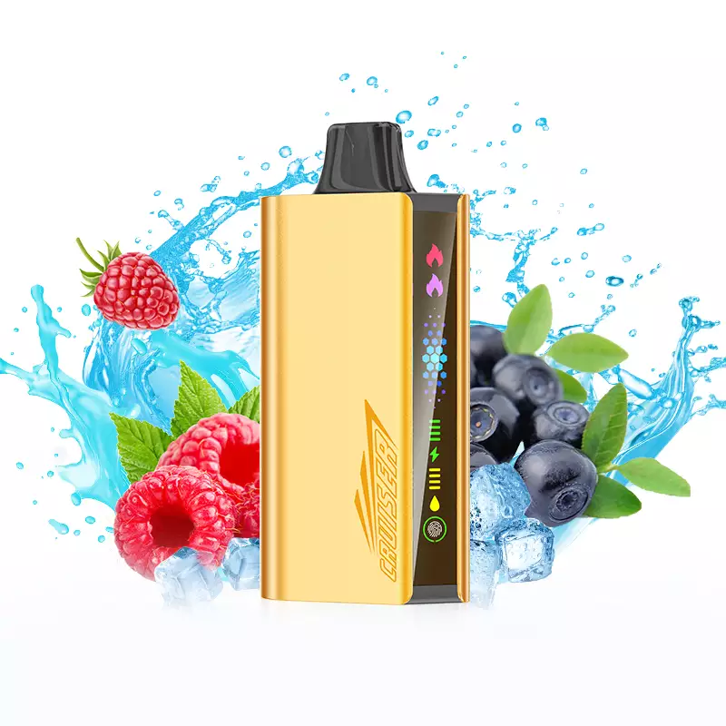 JNR Cruiser 12000 Puffs - Blueberry Raspberry Ice disposable vape Australia