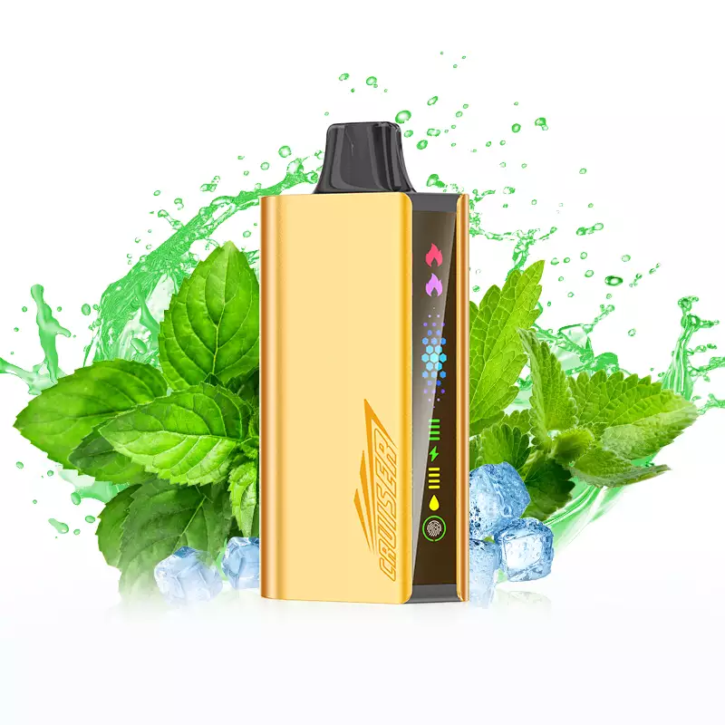 JNR Cruiser 12000 Puffs - Cool Mint disposable vape Australia